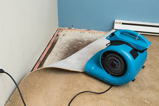 Best Flood damage cleanup  in Sullivan, IN